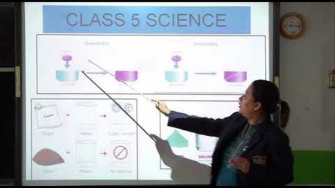 Class 5 Science States Of Matter Solubility of Substances in Water