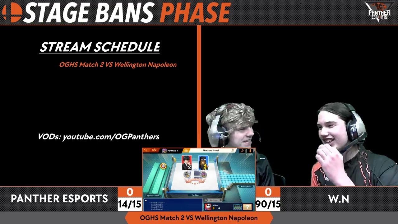 Varsity Panther Esports