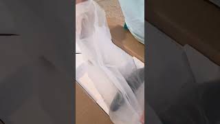 Segway Ninebot S2 unboxing for lawncare