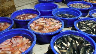 Cheapest fresh seafood market in Jakarta ( Muara baru )