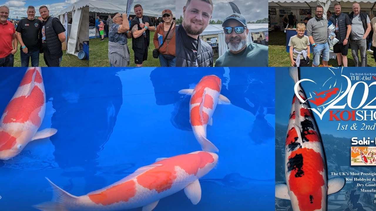 2023-national-koi-what-a-day-koishow-koipond-koifish-koifarm