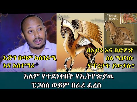 ቪዲዮ: ፈረስ ከወረቀት እንዴት እንደሚሰራ