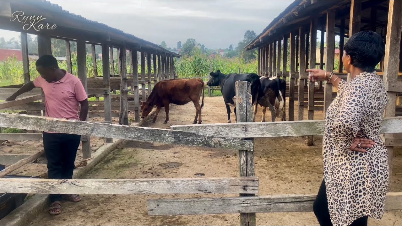 experience farm life in an African village ll slow living ll abundant life