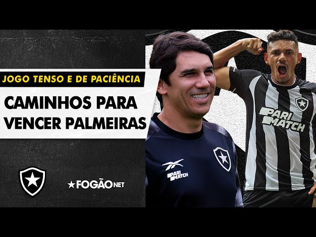 BOTAFOGO TEM CAMINHOS PARA VENCER O PALMEIRAS