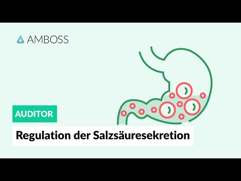 Die Regulation der Salzsäuresekretion - AMBOSS Auditor