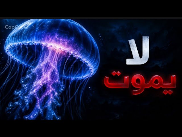حقائق غريبة ستجعلك تشك في كل ما تعرفه... والأخيرة ستصدمك!😱