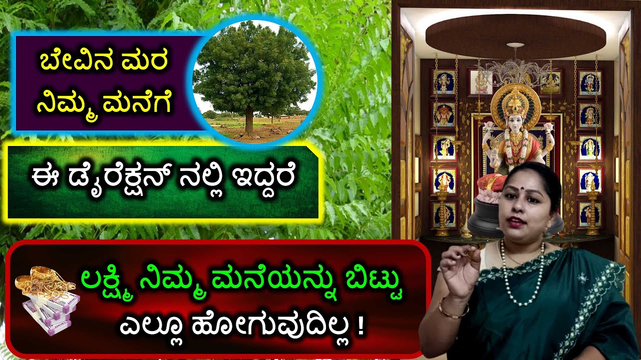ಬೇವಿನ ಮರ ನಿಮ್ಮ ಮನೆಗೆ ಈ ಡೈರೆಕ್ಷನ್ ನಲ್ಲಿ ಇದ್ದರೆ ಲಕ್ಷ್ಮಿ ನಿಮ್ಮ ಮನೆಯನ್ನು ಬಿಟ್ಟು ಎಲ್ಲೂ ಹೋಗುವುದಿಲ್ಲ!