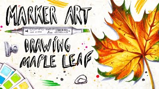 Celebrity How to Draw Maple Leaf with Copic Markers || Drawing Maple Leaf || Autumn drawing ideas Wealth