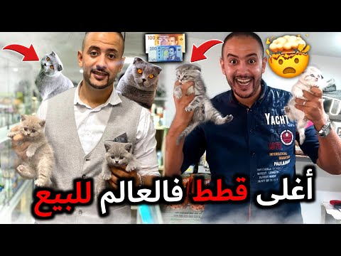 فيديو: التمويه الحضري ، الجزء الثاني