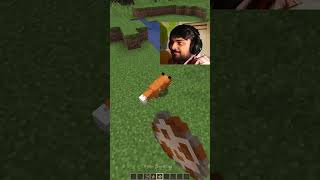 Minecraft Viral tiktok hacks #52