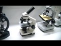 Как выбрать микроскоп