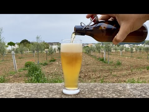 GRUIT BEER homemade 🍺  How to make Beer WITHOUT Hops but with ...