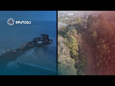 ბაობაბები, რომელიც ხალხზე მეტია — თინათინ ერაძის სიუჟეტი