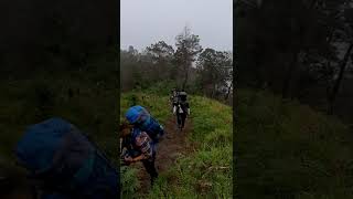 Trek Syahdu Gunung Merbabu Via Thekelan shorts