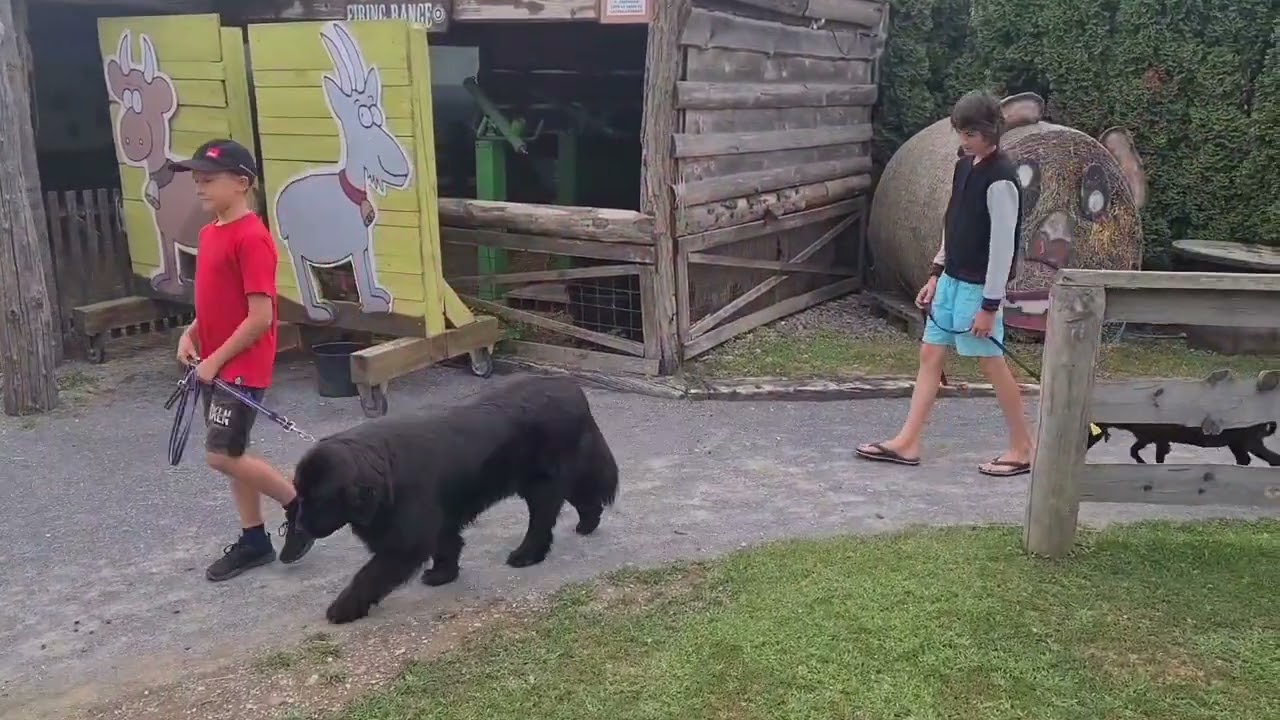 Sreča na štirih nogah...MINI RANČ ŠEMPETER