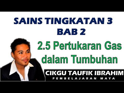 Video: Bukaan apa di daun yang memungkinkan pertukaran gas?