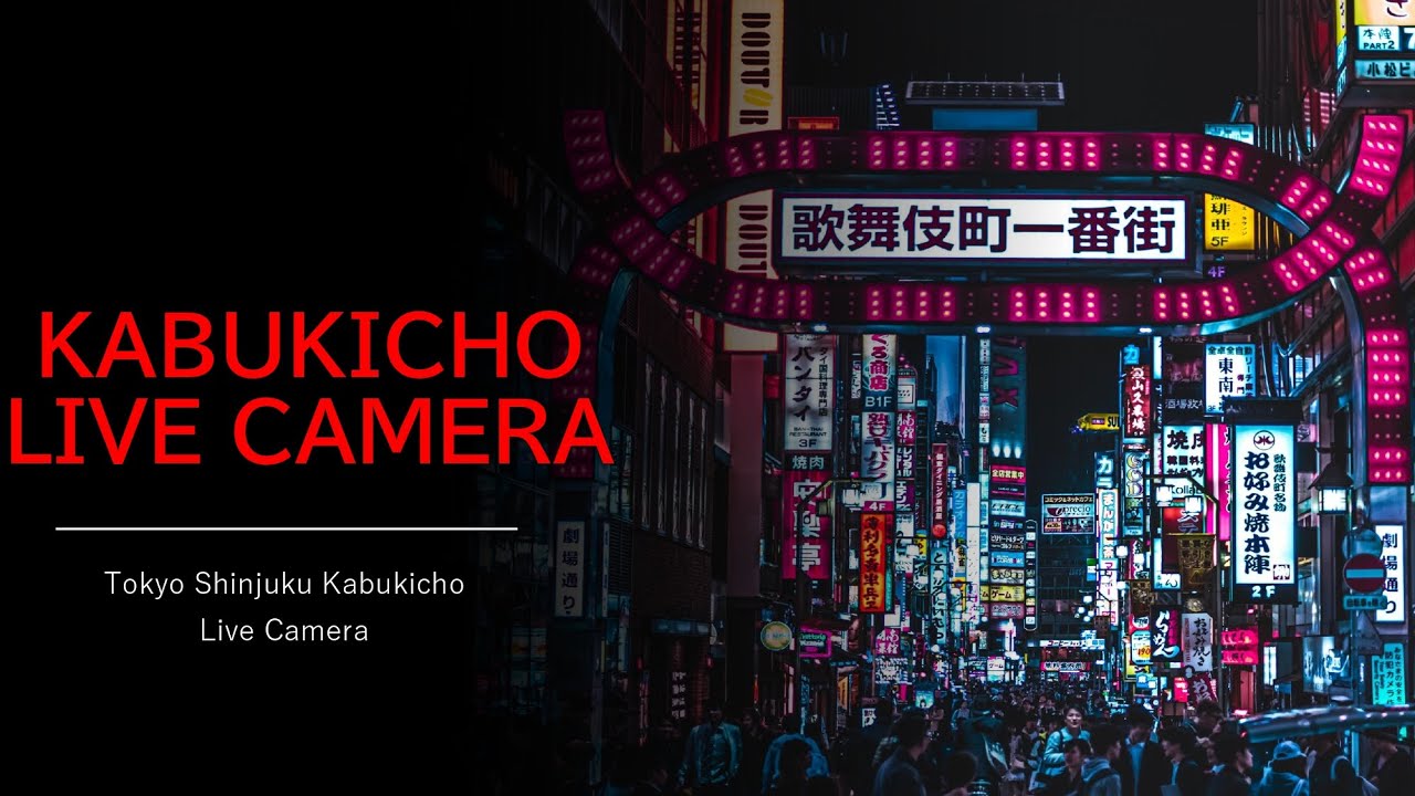Live 歌舞伎町ライブカメラ Shinjuku Kabukicho Live Camera Youtube