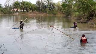 ยกยอต้อนปลาจีนตัวใหญ่ๆ มันๆ #village #ยกจั๋ม #ยกยอ #catching