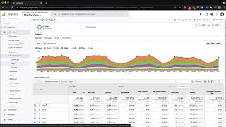 Google Analytics -Audience reports