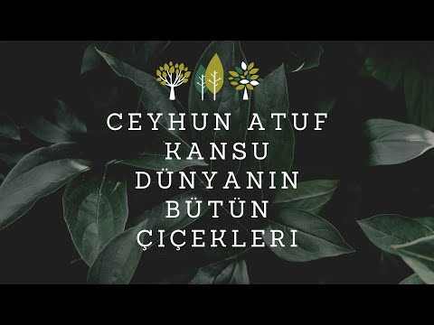 Dünyanın bütün çiçekleri | Ceyhun Atuf Kansu