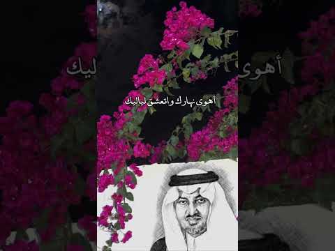 مثل الندى للورد بالقلب طاريك    اكسبلور شعر جزل القصيد ترند تصميمي تيك توك لايك