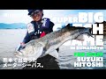 SUPER BIG CATCH GAME｜熊本で出会ったメーターシーバス。