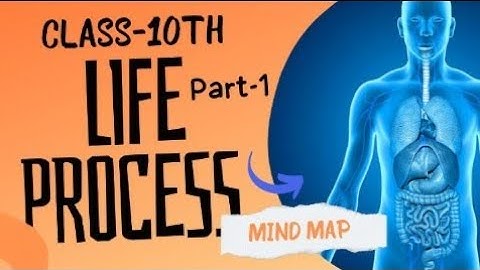 Class-10th Biology Chapter-1 Life Process|| Mind Map ||Animated video