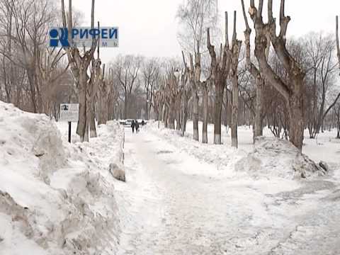 Сюжет   Кронирование деревьев