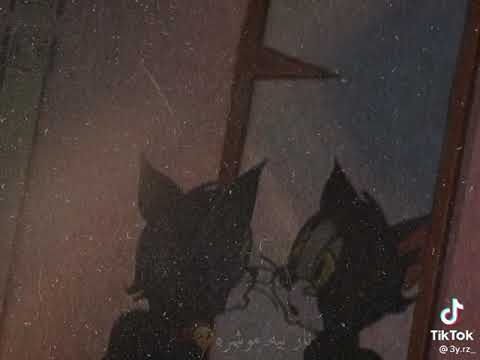 اغنيه زرقاوي 