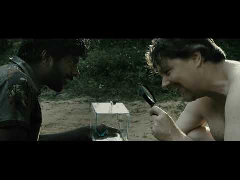 Papilio Buddha Full HD - പാപ്പിലിയോ ബുദ്ധ!!!