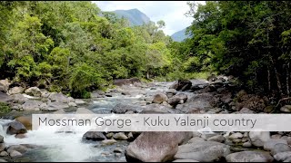 Mossman Gorge Centre - Douglas Shire