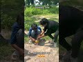 Trending Action Blog | Trending Blog |Blog | #trending #yt #blog #trendingshorts #action #funny #bts