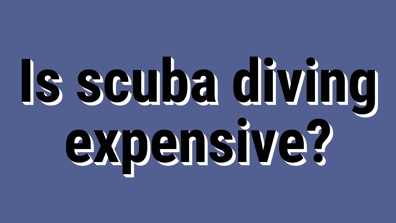 Is scuba diving expensive? YouTube