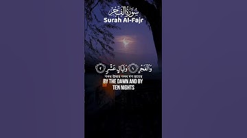 أنوار الصباح والهدوء والتأمل سورة الفجر القارئ | Muhammad Ismail