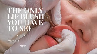 The Only Lip Blush Tutorial You Need To See by Terezia Ridzonova 1,752 views 3 weeks ago 40 minutes