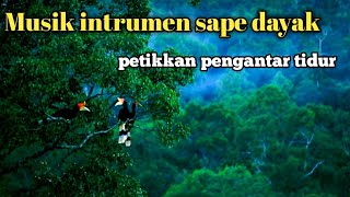 Relaxing music sape borneo
