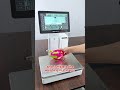 AI automatic identification product label printing scale