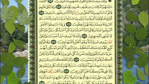 القران الكريم سورة القصص من الاية 44 الى الاية 59