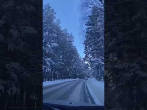 طريق جميل في منتصف الاشجار يشير الى الجبل