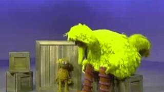 Sesame Street - Big Bird And Zoe On Big And Little