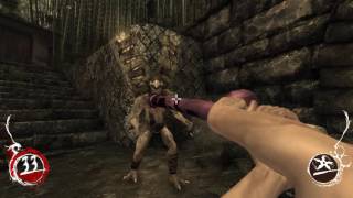 Shadow Warrior - The Penetrator Net Worth