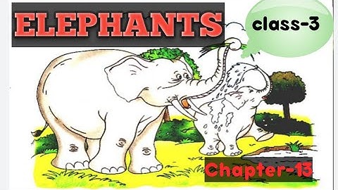 ELEPHANTS, Class-3, Real English, Chapter-13