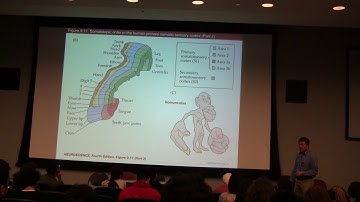 Lecture 10 - Dr. Wang (part2)