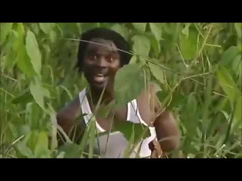 Dibaku – Ikoku