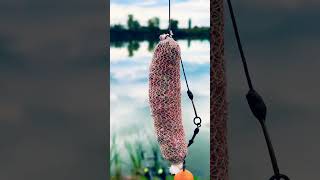Pva & 3D Solution Pop Up Combo Best in 2023 CarpFishing #hobby #carp #fish #carpfish #fishing #hook