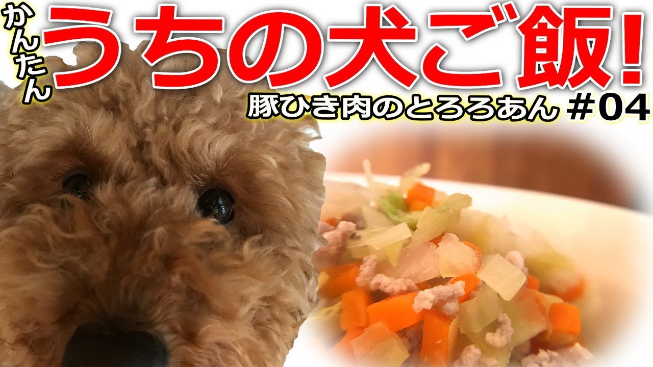 トイプードル 手作り かんたん 豚ひき肉のとろろあん 04 Youtube