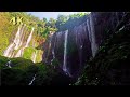 Beautiful Waterfall in the Rain Forest｜White Noise｜ Relaxing Nature Sounds for Sleeping, Study