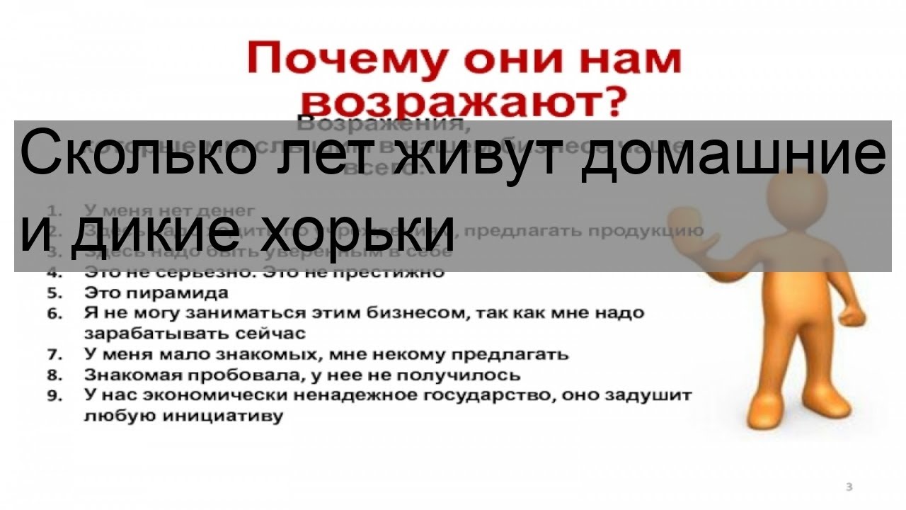 Сколько лет живут домашние и дикие хорьки