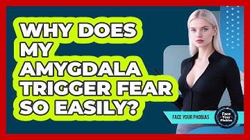 Why Does My Amygdala Trigger Fear So Easily? - Face Your Phobias