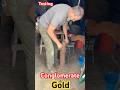Testing Conglomerate For Gold Prospecting Mining Gold Metaldetecting Goldmining 